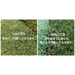 【10年の実績！】人工芝張り施工 弊社は形状記憶の人工芝を使用します。