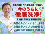 【在宅専門】安心の『エコ洗剤』使用🌱マナー研修済みのスタッフが『感動の仕上がり』をお届けします