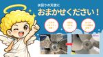 【換気扇（プロペラ）の悩みはコレで解決🪽】損害保険加入済！万が一の場合でも安心です❗️