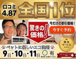 🟥❾日🈳あり🟥1年で❻回優良店舗獲得🌟 🔶赤ちゃん・ペットに安心のエコ洗剤使用