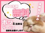 ⭐優良店舗⭐️で安心安全⭕️清潔丁寧⭕️満足度◎サービス✨お子様ペットにも優しいエコ洗剤🌱