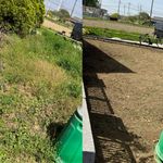 草刈り（草刈り機）