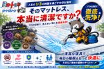 キレイに見えても雑菌・ダニ等で汚染されてます。定期的にメンテナンスがお勧め