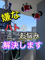 【即日対応可能】最短30分！糞などの被害を速攻解決致します！ネット施工も対応可能