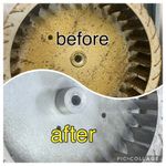 【駐車場無料🈚️】２年間オーストラリアで掃除のプロに教わってきました❗️