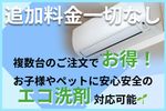 【格安】お子様やペットに安心安全なエコ洗剤使用🌱