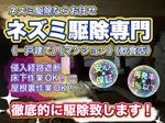 【即日対応可能】最短30分！作業後も安心の保証付き！侵入経路を遮断し完全解決！