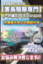 【即日対応可能】最短30分！糞などの被害を速攻解決致します！ネット施工も対応可能