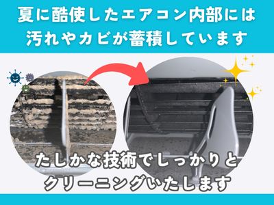 たすかるエアコンお掃除専門店のエアコンクリーニング(壁掛型)[76567 