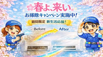 東京23区限定】高圧洗浄クリーニング済み家電2点セット 【公式通販】