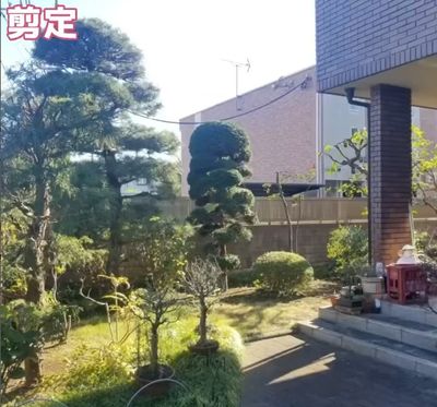 お庭のいなずまの庭木・植え込み剪定(庭木の剪定)[66907]｜ユアマイスター