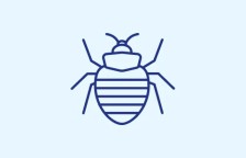 トコジラミ駆除