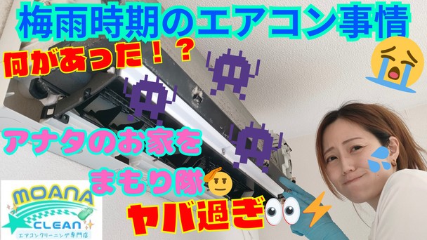 6/22～予約枠有❗️超早割🚅が超お得💸『いつでも🆗』で更にお値打ち✋️詳細は⏬️まで💨
