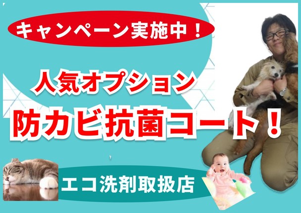 好評につき防カビ抗菌コート無料サービス実施中✨複数台割引実施店舗です🌟