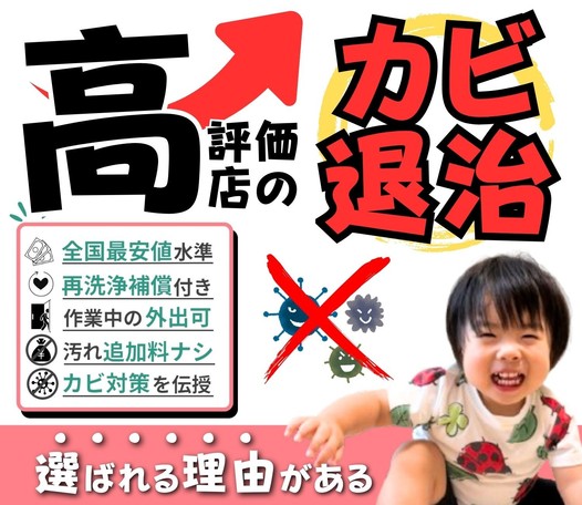 おかげさまで絶好調！⭐各サイト高評価店⭐価格以上の感動サービスぜひお試しください♪