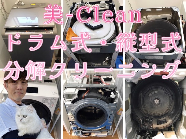 奥さん！実はその服カビだらけですよ！洗濯機をキレイに洗濯しましょう🌟オプションも充実